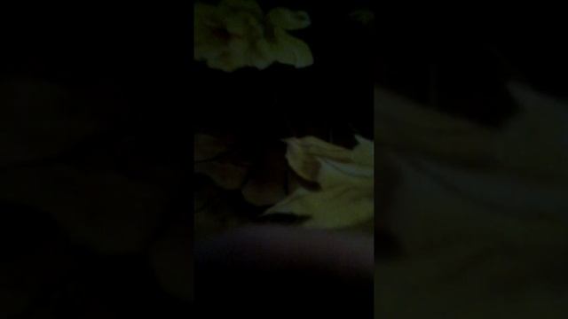 Как установить Minecraft на PSP смотреть онлайн