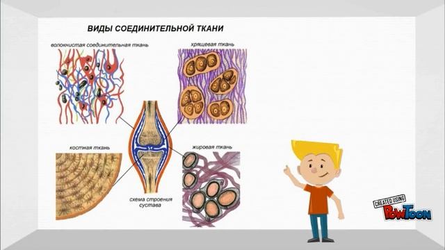 Ткани животных смотреть онлайн