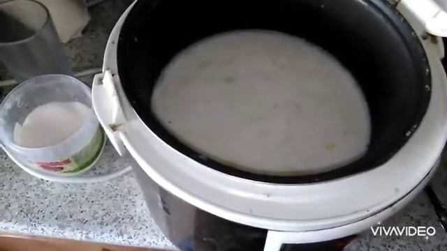 Животные в Зоопарках