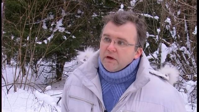 Проблемный участок леса в районе деревни Сабурово смотреть онлайн