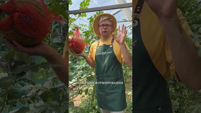 БАХЧЕВЫЕ смотреть онлайн