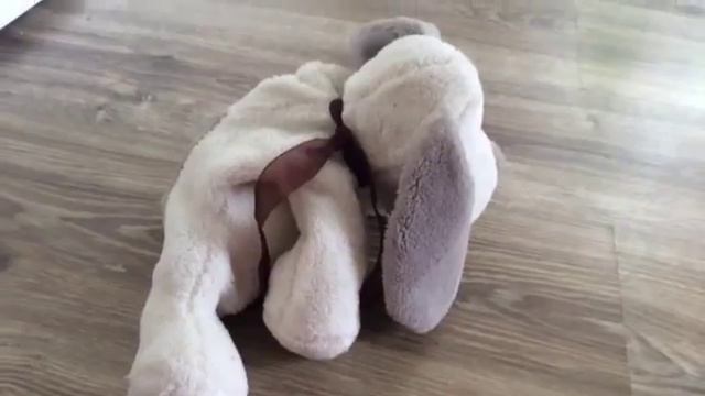 Влюблённый пёсик. Мой мультик смотреть онлайн