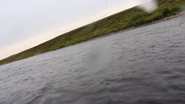 16 АВГУСТА 2013 РЫБАЛКА НАХЛЫСТОМ В ВОРКУТЕ НА РЕКЕ УСА смотреть онлайн