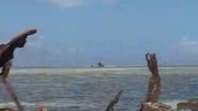 Philippine World Heritage Sites - Tubbataha Reef смотреть онлайн