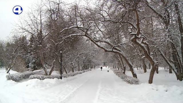 Благоустройство по заказам жителей / Екатеринбург / Свердловская область смотреть онлайн