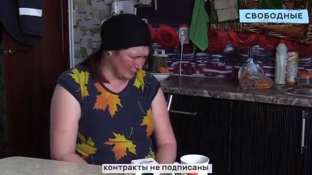 Похоронка по WhatsApp - Dislive