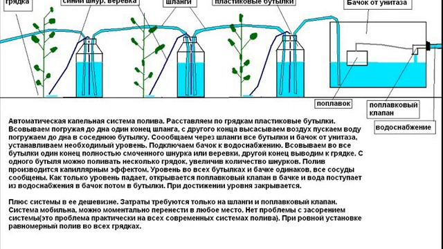 Капельный полив из пластиковых бутылок и бачка от унитаза смотреть онлайн