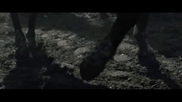 Клип/Боевой Конь