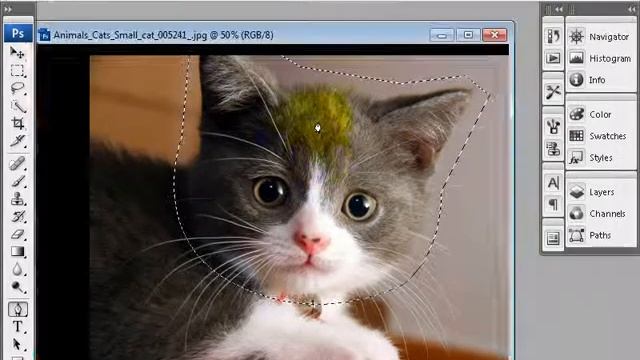 Tips Trik Edukasi - Efek Bayangan pada Photoshop CS3 смотреть онлайн