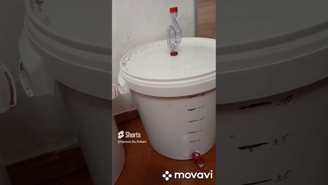 НУЖЕН ВАШ СОВЕТ. ОГОРОД НА КУБАНИ. shorts# смотреть онлайн