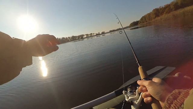 Осенний джиг. Ловля судака и берша на джиг. Поклевки на каждом забросе. смотреть онлайн