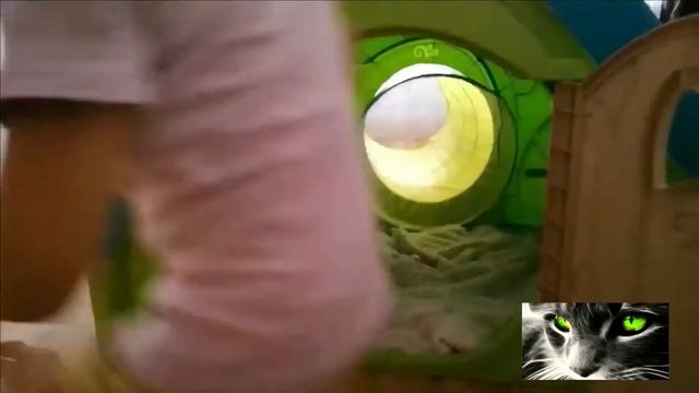 Пластиковый ДЕТСКИЙ ДОМИК С ГОРКОЙ у Тани дома. Лучший ИГРОВОЙ ДОМИК. смотреть онлайн