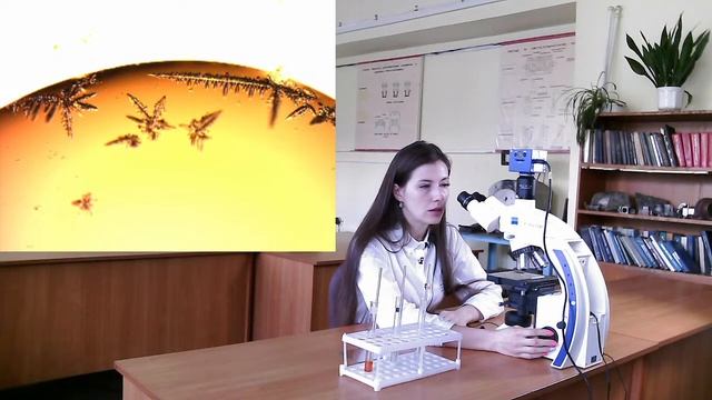Онлайн урок по теме: "Кристаллизация" смотреть онлайн