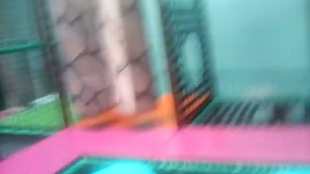 ТЦ ,,МАЛИНКА,,ВЕСЁЛЫЙ ОСТРОВ. смотреть онлайн
