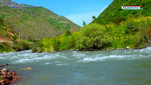 Табиати Точикистон / Природа Таджикистана  / Nature Of Tajikistan