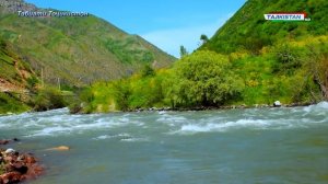 Табиати Точикистон / Природа Таджикистана  / Nature of tajikistan