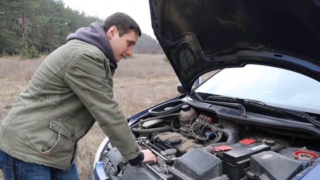 Интерес К пежо 206. Краткий обзор авто.