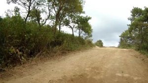 Дорога Бухта Витязь - Бухта Астафьева (полуостров Гамова)