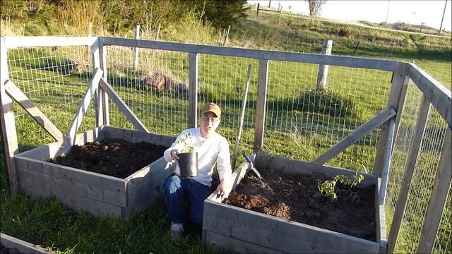 Planting The Garden And An Accident