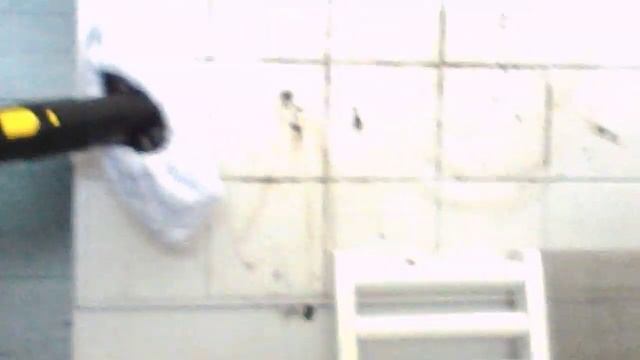 БЫТОВОЙ ПАРООЧИСТИТЕЛЬ КЕРХЕР ТЕСТИРУЕМ смотреть онлайн