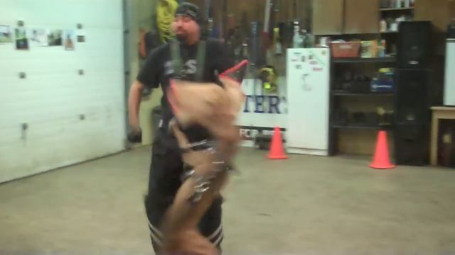 Serial Killer Kennels Charles Manson Pitbull Of The Wall!!! смотреть онлайн