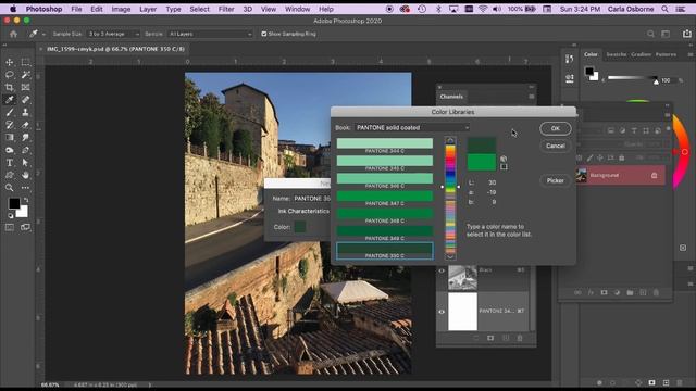 Using and Selecting Pantone Colors смотреть онлайн
