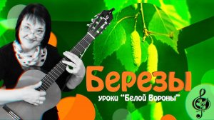 «Березы». Базовый уровень. Подробный разбор.