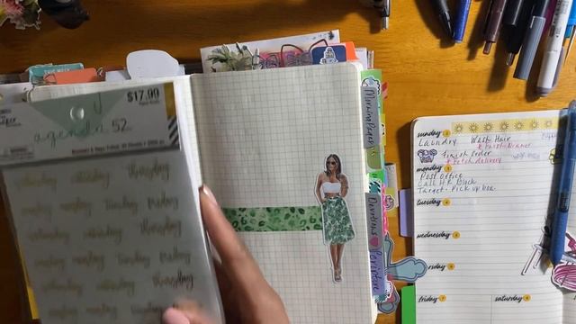 Plan With Me and Flip of Moleskine Expanded notebook. #notebooks #planners #plannerinspiration смотреть онлайн