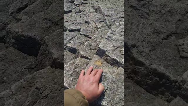 Кунашир. Кремниевая жизнь. смотреть онлайн