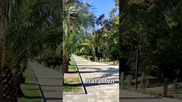 ПОСЛЕДНИЙ ДЕНЬ ОСЕНИ ЖАРА В АБХАЗИИ ПУТЕШЕСТВИЯ ЧЕРНОЕ МОРЕ смотреть онлайн