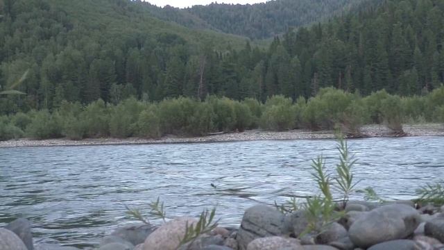 Отдых и рыбалка на горной реке/часть -1 смотреть онлайн