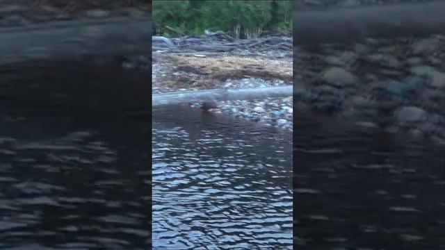 Рыбалка и охота на севере. смотреть онлайн