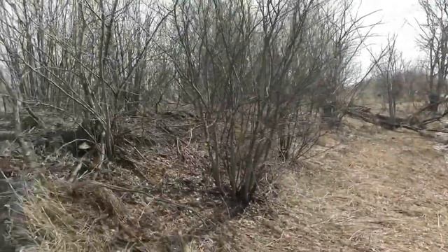 коп от Петра 1 и до Советов. смотреть онлайн