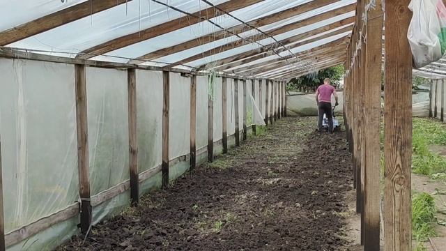 Как выжить на овощном рынке. Ценопад. смотреть онлайн