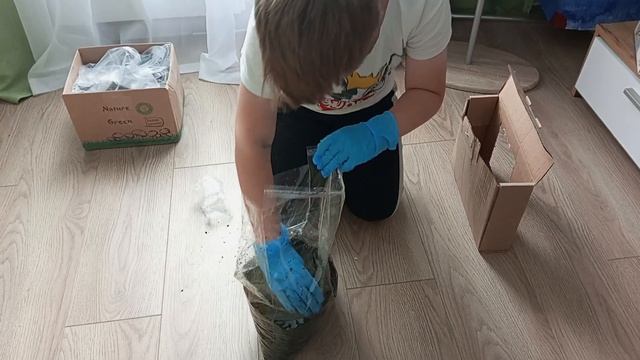 Грибные узоры