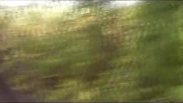 Заметки выживания | Шиповник смотреть онлайн