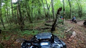 Лесной прохват на квадроциклах и мото. Cfmoto, Motoland, BSE