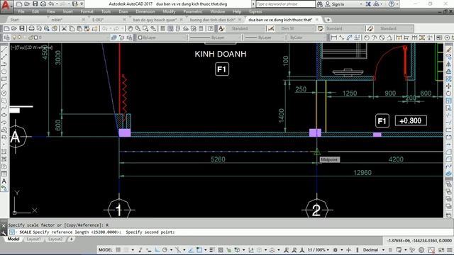 ĐƯA BẢN VẼ AUTOCAD VỀ ĐÚNG KÍCH THƯỚC THẬT смотреть онлайн