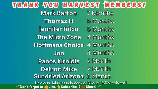 Marketing And Sales: Getting Your Microgreens To Market