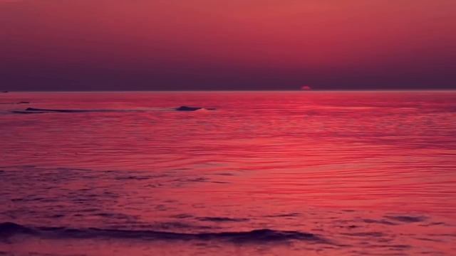 30 Minutes Relaxing Sleep Music, Peaceful Sleep Music, Deep Sleep Music