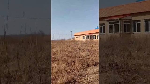 Миасс Пушкина смотреть онлайн