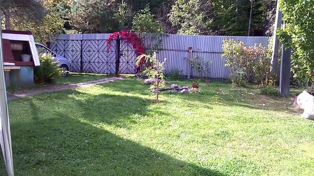 Ива у пруда. Красотаааа..... смотреть онлайн