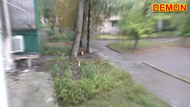 С Днем освобождения Донбасса поздравляет природа смотреть онлайн