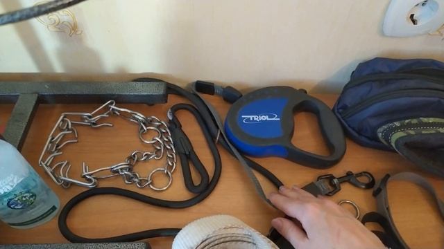 Что купить для щенка. Амуниция для щенка смотреть онлайн