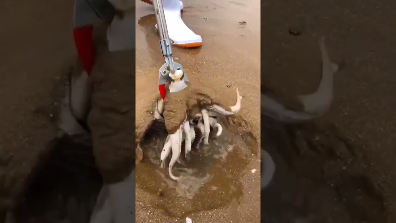 Лежу, никого не трогаю, и тут... смотреть онлайн