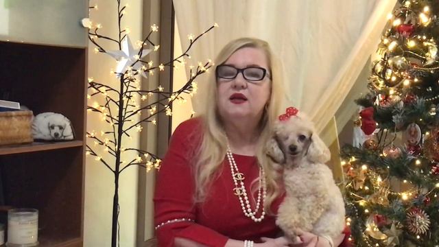 To Kill a Mockingbird and American Dirt Book Review смотреть онлайн