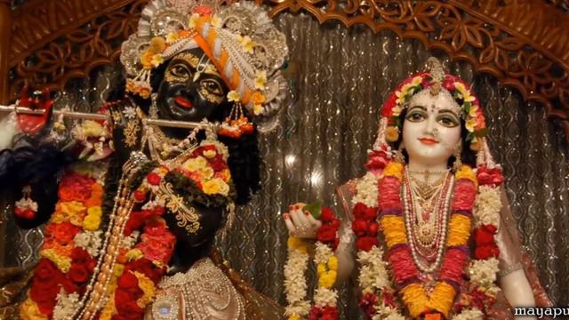 Sri Sri Radha Madhava | ISKCON MAYAPUR