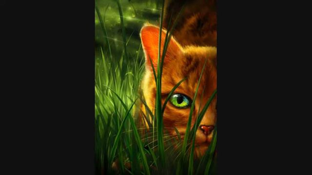 коты-воители: enjoykin Ламповая няша смотреть онлайн