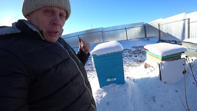 КАК ОРГАНИЗОВАТЬ ЗИМОВКУ ПЧЁЛ НА ВОЛЕ, МОЙ ПРАКТИЧЕСКИЙ МЕТОД. смотреть онлайн