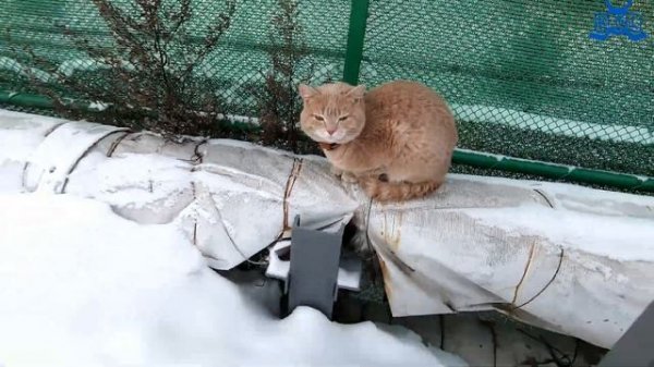 КТО ХУЖЕ НАРИСУЕТ, ТОТ ПОБЕЖИТ В ЭТОМ ЧЕЛЛЕНДЖ ! // KiFill boys 13+